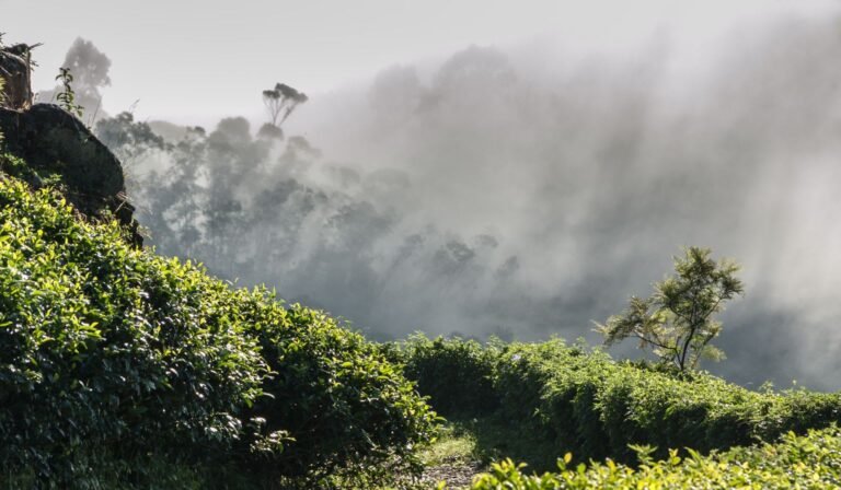 sri lanka off the beaten path – part 1